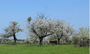 Brandenburg Landschaft